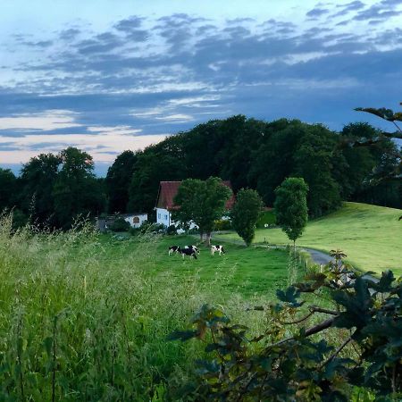 4-Zimmer Apartment Auf Resthof Halver Eksteriør billede