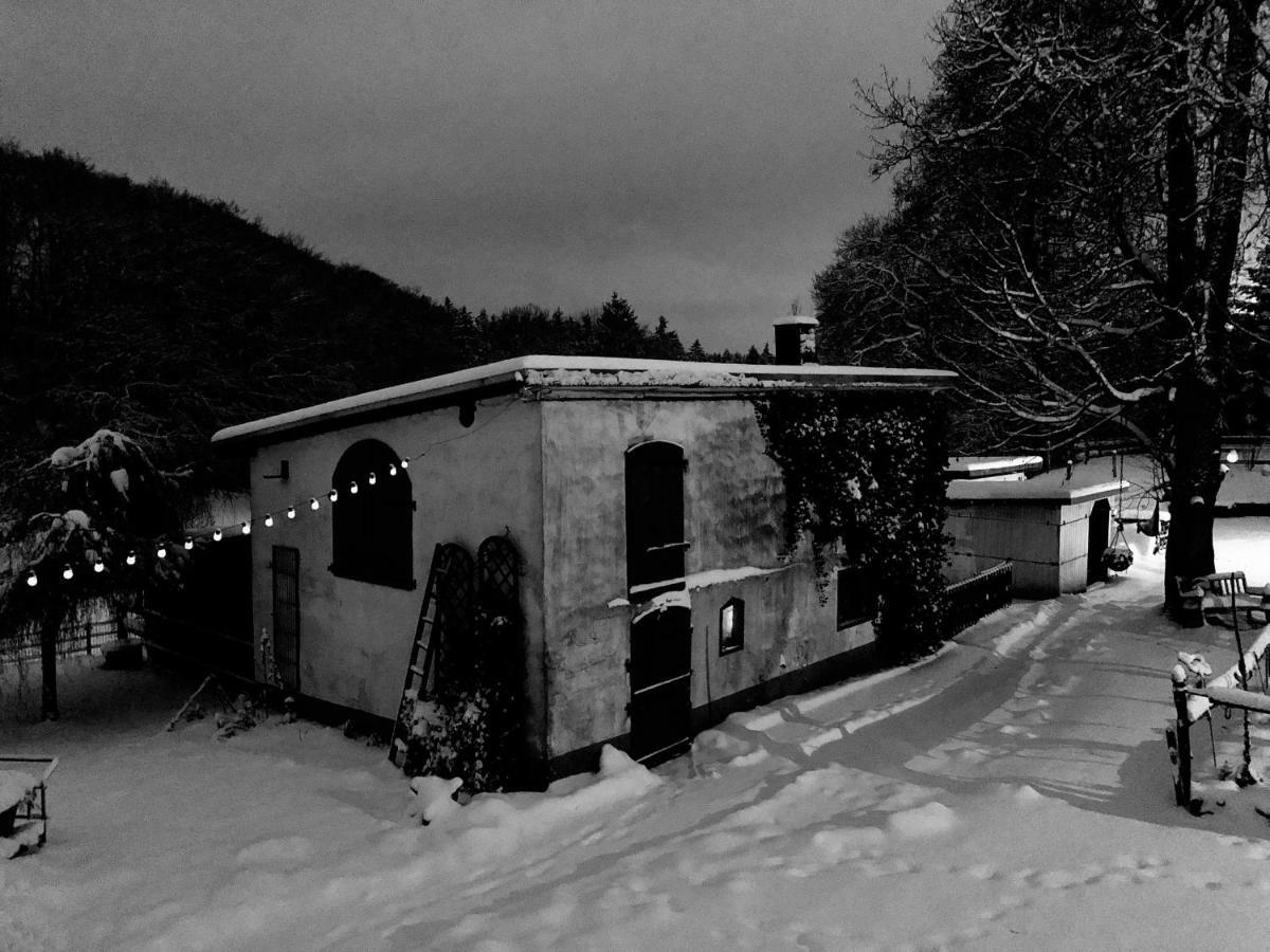 4-Zimmer Apartment Auf Resthof Halver Eksteriør billede